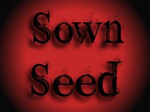 Sown Seed Music