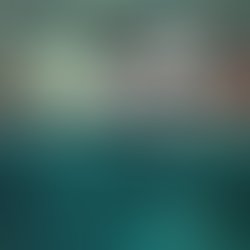 Artist 6378701 1544315686