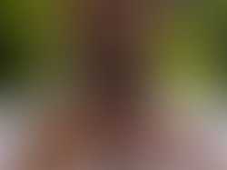 30578127 1b71 4b7f a3ca bc8f512b5201 302 0000000d33b12d3f