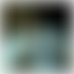 1541542081423