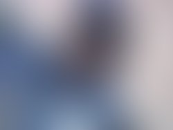 Artist 6388430 1545171168