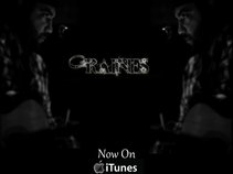 Brandon Scott Raines (June 29, 1983 - Feb. 28th, 2013)