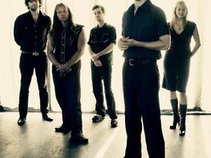 Shearwater