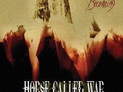 Image for Horse Called War