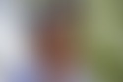 Artist 6398847 1546109717