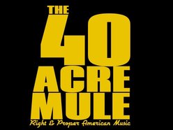 Image for The 40 Acre Mule