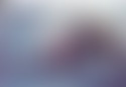 1366420982 71232233911 6858382 n