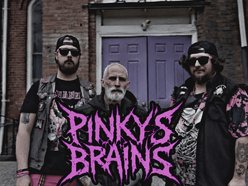 Image for Pinky's Brains