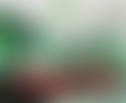 Its quint album cover 2