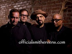 Image for The Smithereens