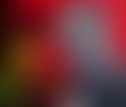Beautiful roses lovzwallpaper 1920x1080
