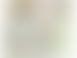 Oblongbcoveralternate 1300713680 1300713808