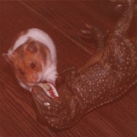 ReverbNation profile picture for @crumbs