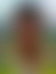 11059868 650085515125986 547092857386370955 n