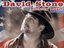 DAVID STONE  "Singer Songcrafter" (Artist)