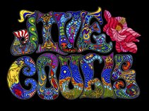 Jive Coulis