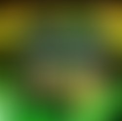 Artist 6428171 1548510396