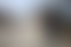 Artist 6429752 1556749317