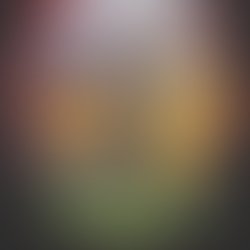 Artist 6433117 1553804802
