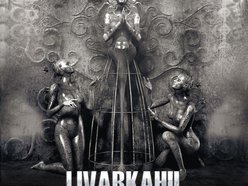 Image for livarkahil