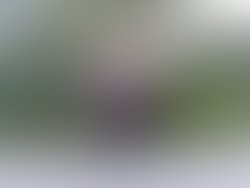 48391644 499243073931385 2246470553839861760 n