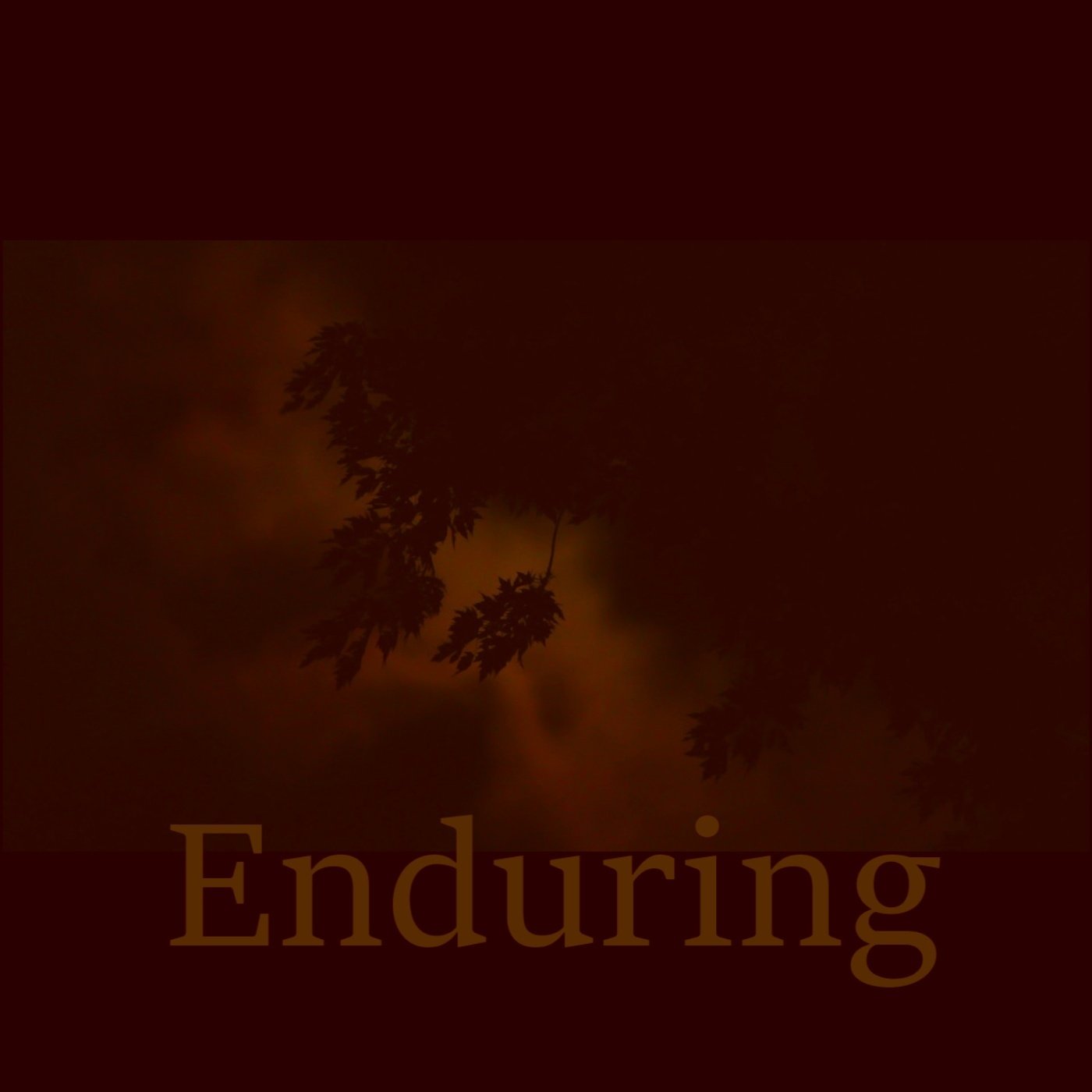 ReverbNation profile picture for @enduring