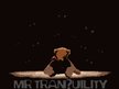 Mr Tranquility