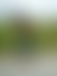 52281250 405153130059056 1920006825495756800 n