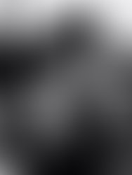 Artist 6451720 1550369729