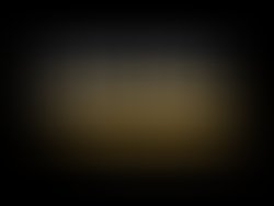 Img 1376