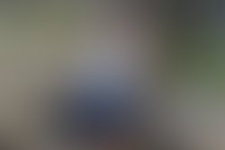 556d5afa 3d0c 448a 8056 fd3753e5088e