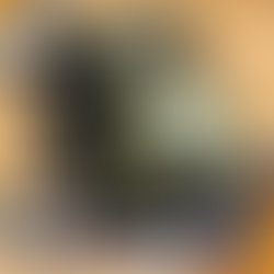 Artist 6452976 1550471082