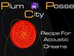 PLUM CITY POSSE