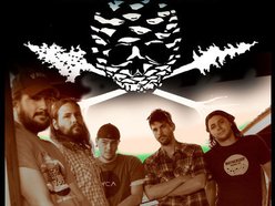 Image for Evergreen Grass Band