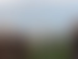 Band pics downin thehole