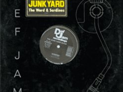 Image for JUNKYARD BAND