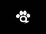 Futurepaw