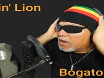 Bogaton