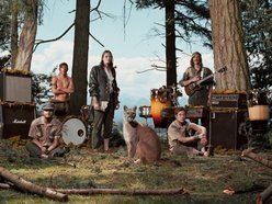 Image for Wild Orchid Children