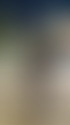 Img 20241201 185913 270