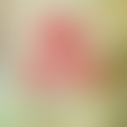 Photogridlite 1553989243542