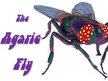 The Agaric Fly