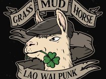 Grass Mud Horse