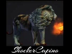 ShockerCapinoTheDon