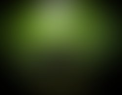 We finna get litty album cover