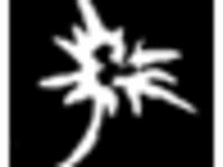 Edelweiss