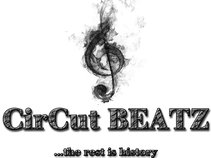 CirCuT