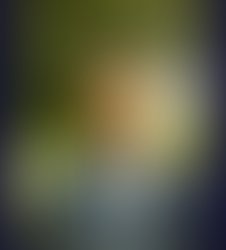 Henk ghelsson revnat