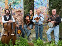 Matthew Sabatella and the Rambling String Band