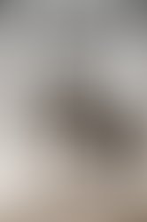 1457379319 passerine dg2